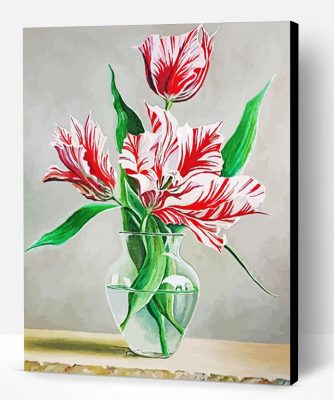 Parrot Tulip In Glass Vase Paint By Number