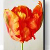 Parrot Tulip Paint By Number