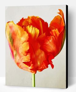 Parrot Tulip Paint By Number