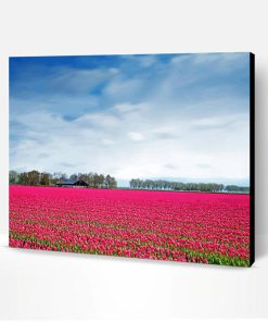 Pink Rose Field Paint By Number