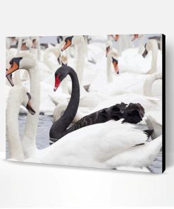 White Wild Geese Paint By Number
