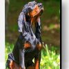 Aesthetic Black And Tan Coonhound Art Paint By Numbers