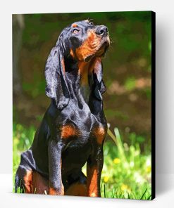 Aesthetic Black And Tan Coonhound Art Paint By Numbers