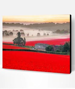 Aesthetic English Poppy Field Paint By Number