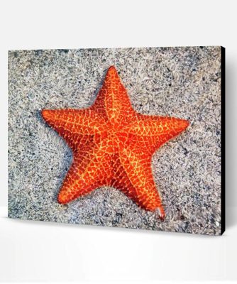 Aesthetic Sea Star Art Paint By Numbers