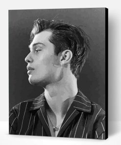 Black And White Nicholas Galitzine Paint By Numbers