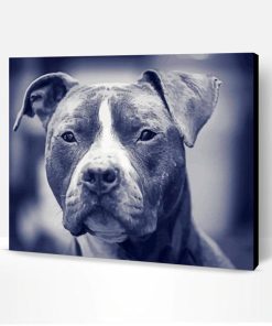 Black And white Blue Staffy Paint By Number