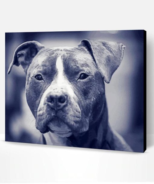 Black And white Blue Staffy Paint By Number