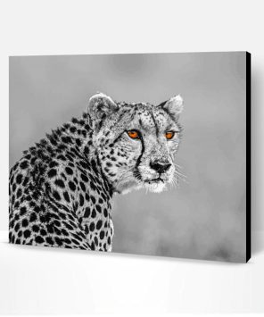Black And White Cheetahs With Yellow Eyes Paint By Numbers