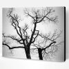 Black And White Trees Paint By Numbers