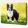 Cute Border Collies Paint By Number