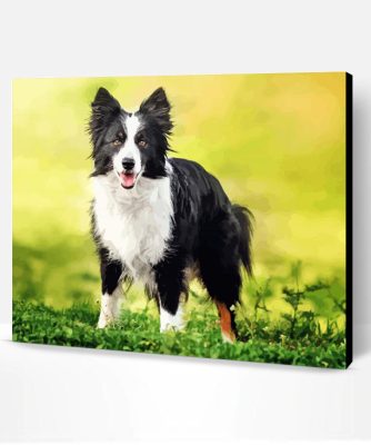 Cute Border Collies Paint By Number