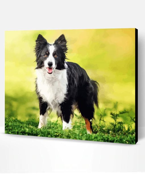 Cute Border Collies Paint By Number