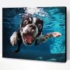 Dog Swimming Paint By Numbers