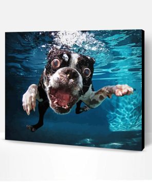 Dog Swimming Paint By Numbers