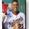 Dominican Baseballer Juan Soto Paint By Numbers