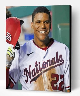 Dominican Baseballer Juan Soto Paint By Numbers