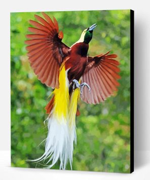 Flying Paradise Bird Paint By Number