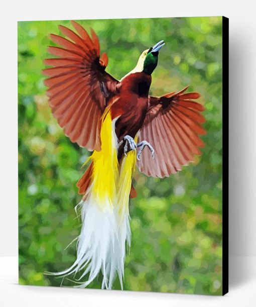 Flying Paradise Bird Paint By Number