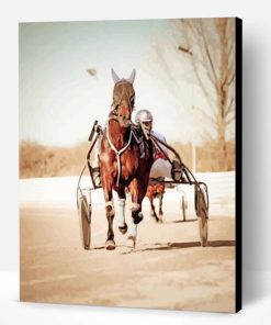Harness Horse Paint By Number