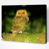 Philippine Scops Owl On Tree Paint By Numbers