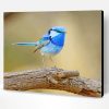 Adorable Blue Wren Paint By Numbers