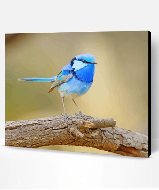 Adorable Blue Wren Paint By Numbers