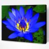 Aesthetic Blue Lotus Flower Paint By Numbers