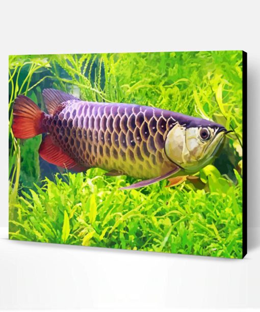 Aesthetic Arowana Illustration Paint By Numbers