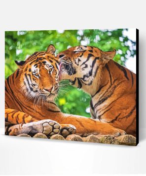 Beautiful Tiger Couple Paint By Numbers