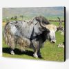 Grey Domestic Yak Paint By Number