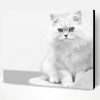 White Persian Kitten Paint By Number