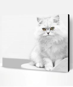White Persian Kitten Paint By Number