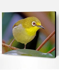 Wonderful Ring Eyed Bird Paint By Number