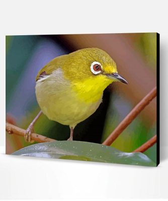 Wonderful Ring Eyed Bird Paint By Number