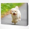 Running Maltipoo Dog Paint By Numbers
