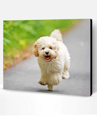 Running Maltipoo Dog Paint By Numbers