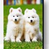 Samoyed Puppies Paint By Numbers