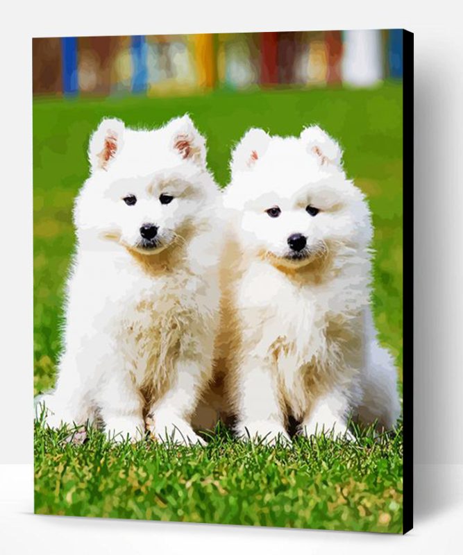 Samoyed Puppies Paint By Numbers