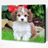 Cavachon Dog Paint By Numbers