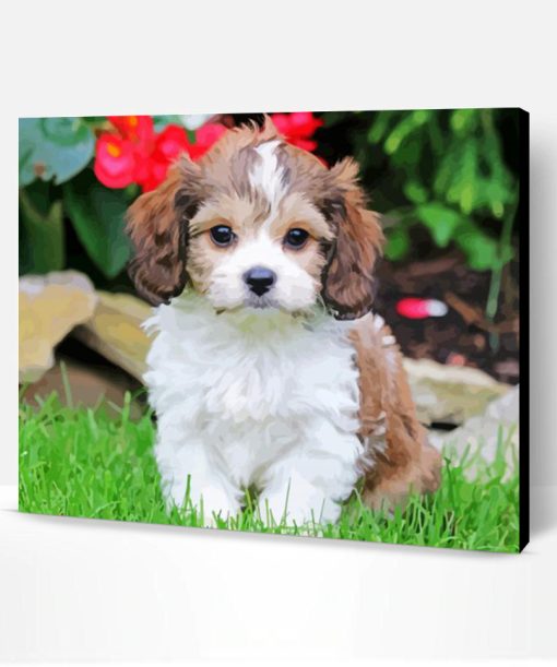 Cavachon Dog Paint By Numbers