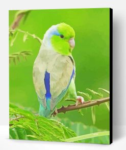 Parrotlet Bird Paint By Numbers