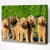 Otterhound Paint By Numbers
