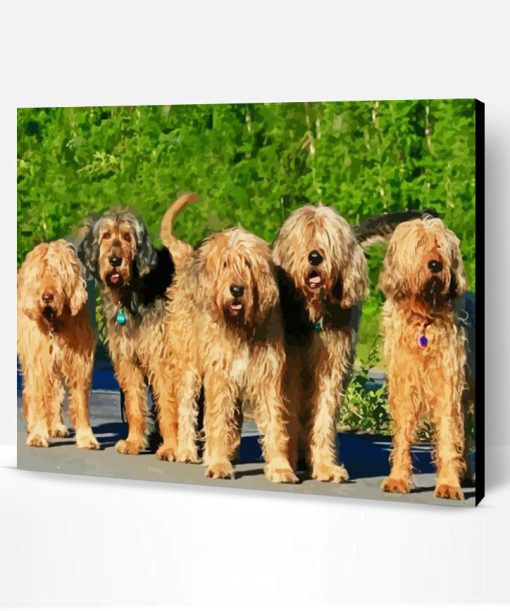 Otterhound Paint By Numbers