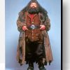 Rubeus Hagrid Paint By Numbers