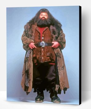 Rubeus Hagrid Paint By Numbers - Paint By Numbers PRO