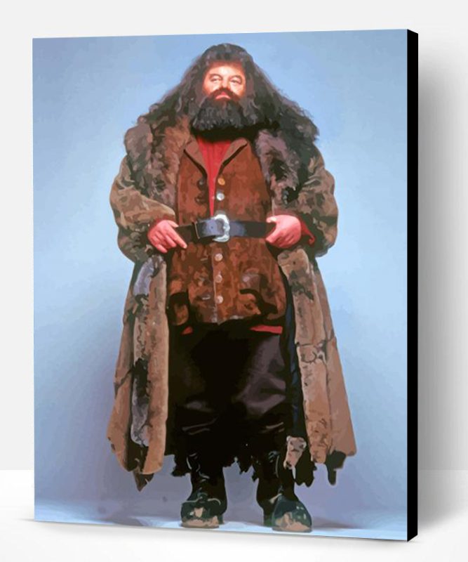 Rubeus Hagrid Paint By Numbers