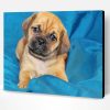 Puggle Puppy Dog Paint By Numbers