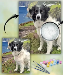 Painting By Numbers Custom​ Pets